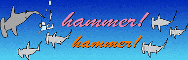 hammer!hammer!