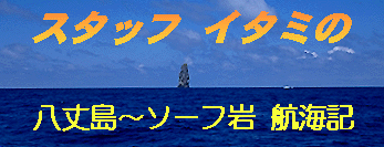 �X�^�b�t�C�^�~�̍q�C���L