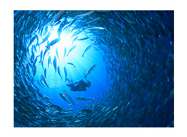 �����Ȃ̃g���l��