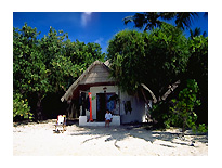 �I���U�r�[�`�R�e�[�W