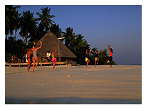 �r�[�`�ŃG�A���r�N�X