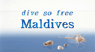 Dive so Free MALDIVES